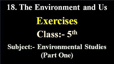 18. The Environment and Us Exercises 5th Class Environmental Studies Part 1 | The Environment and Us