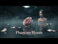 Phantom Bloom 🥀 Melancholic Deep House | Haunting Emotional Beauty | Copyright Free Music