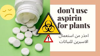 حذاري من إستعمال الأسبرين على النباتات⚠️|dont use aspirin for plants