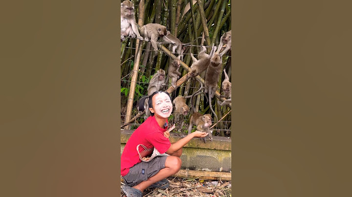Bego Punya Temen Baru