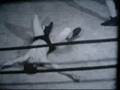 Herman "Dutch" Rhode vs Ash Mahoney - early Nature Boy Buddy Rogers wrestling match 1940's