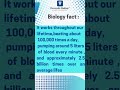 Interesting Biology Fact About Heart #education #science #educationalvideo #sciencefacts #study