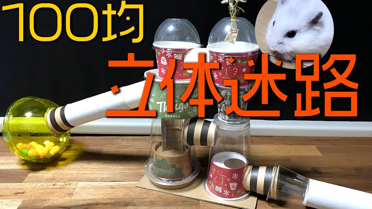 ハムスターの【探検迷路】100均グッズで立体式を作った！ - YouTube