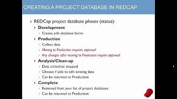 1 REDCap Background Information