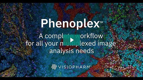 Phenoplex workflow