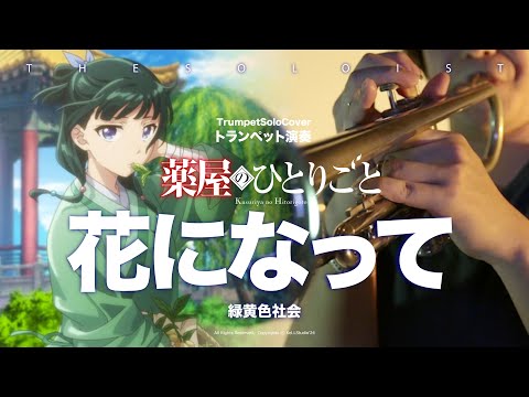 【花になって/緑黄色社会】Trumpet Cover - TVアニメ『薬屋のひとりごと OP オープニング主題歌 opening song | TTM Winds