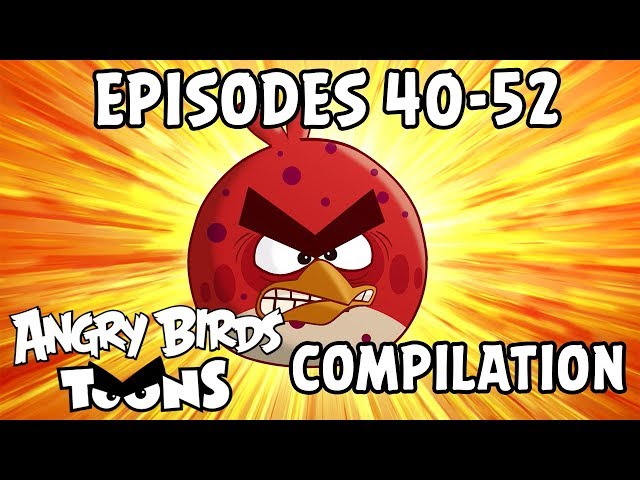 Angry Birds Toons Compilation | Season 1 Mashup | Ep40-52 class=