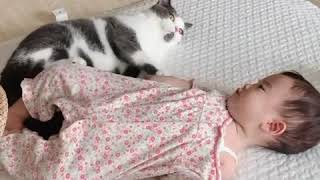 لعب الأطفال مع القطط كيوت 😍🥰 | babies with kitten cats