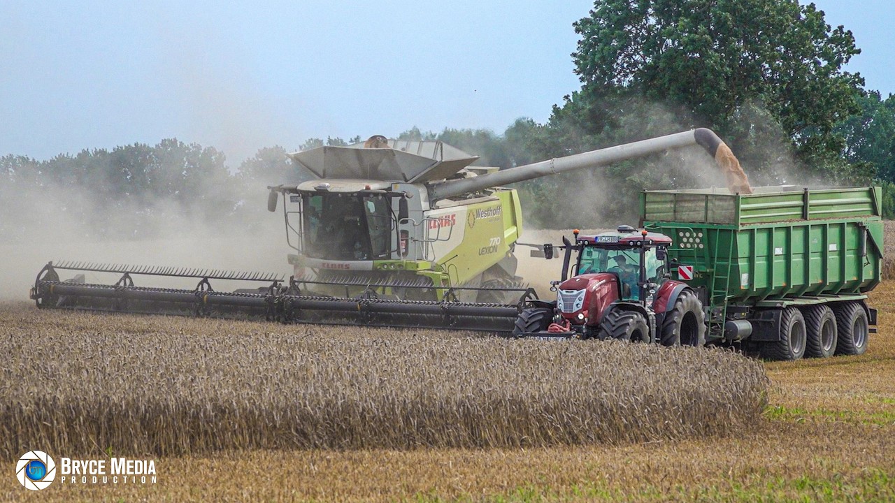 Claas Lexion 770 SOUND - Westhoff Agrar - Fendt 724 und McCormick X 7.624 - Weizen dreschen in MV