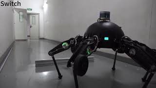 Design and multimodal locomotion plan of a hexapod robot with improved knee joints