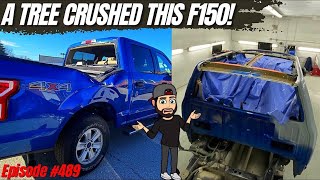 A TREE CRUSHED THIS F150!