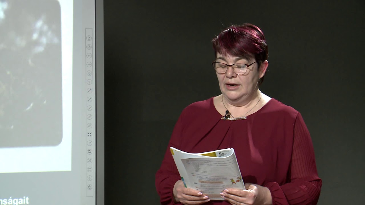 Állatok leírása külső és belső tulajdonságok alapján