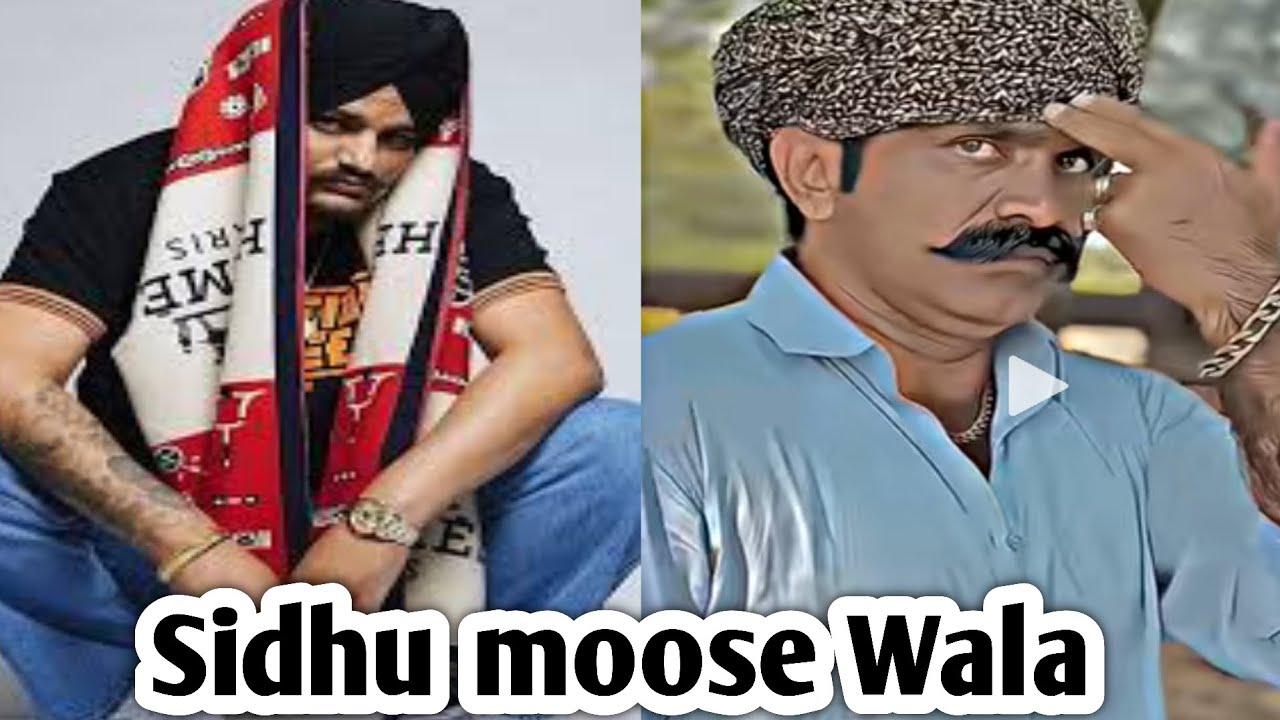 Sidhu moose Wala || Sidhu moose Wala Copy Roast || Imran Bhogia Roast