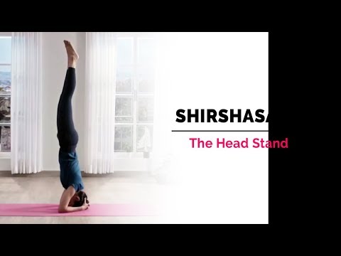 Posture of the month: Head stand (Sirsasana)