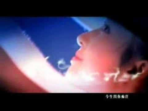 神雕俠侶