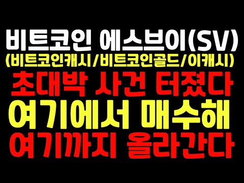   비트코인에스브이 초대박 사건 터졌다 여기에서 매수해 여기까지 올라간다