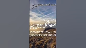 (ألم تر كيف ضرب الله مثلا كلمة طيبة كشجرة طيبة.....)سورة ابراهيم