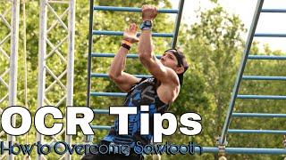 OCR TIPS sawtooth Net Worth
