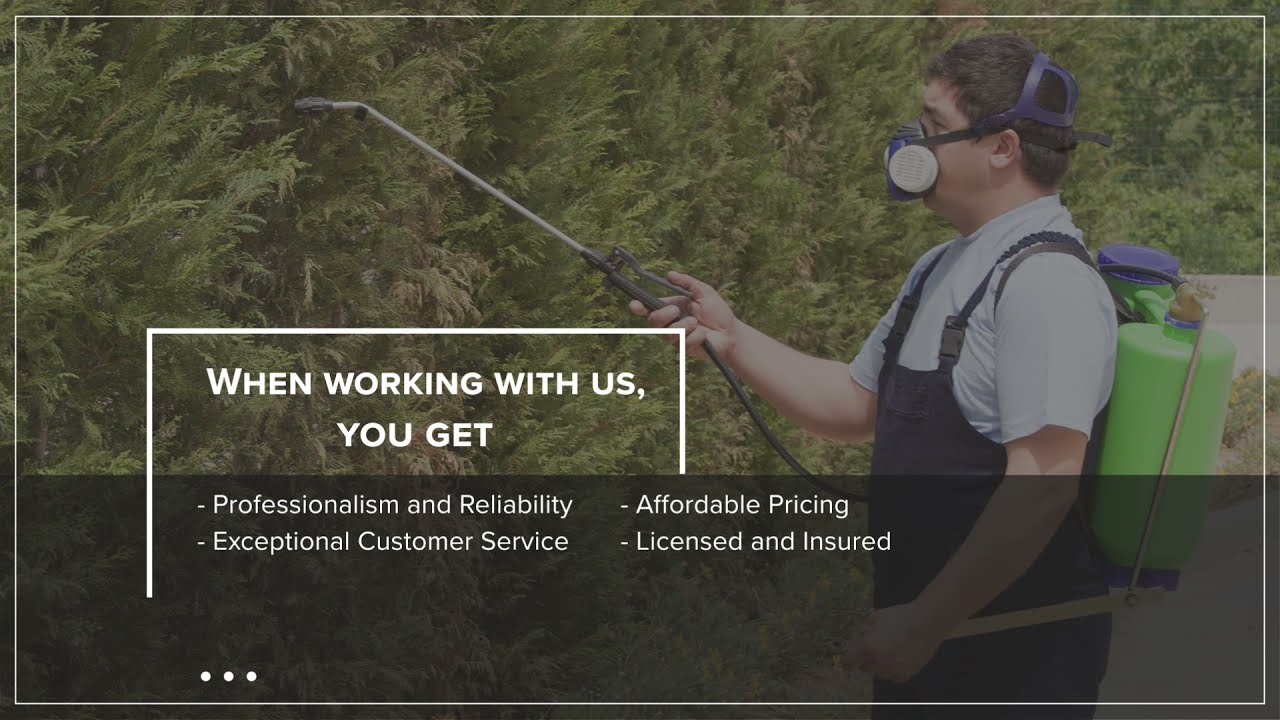 A1 Pro Pest Control & Home Inspection LLC YouTube