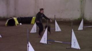 Morgana Dei Consorti - Agility