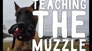 Teaching the Muzzle