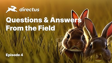 From The Field: Q&A With P&J - Notifications | Bulk Publishing | Localizations | SSO