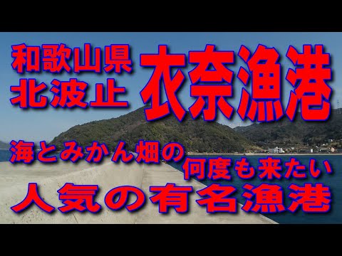 #154和歌山県衣奈漁港北波止投げサビキ有名波止漁港和歌山県日高郡由良町衣奈有田IC阪和自動車道湯浅御坊道路国道42号名物湯浅醬油の町足場が良く釣場が広いファミリー家族連れサビキ釣りに良いトイレが近い