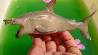 Toy Sea Animals, sea animals, sea creature for kids, sea animals toys collection for toddlers, toys