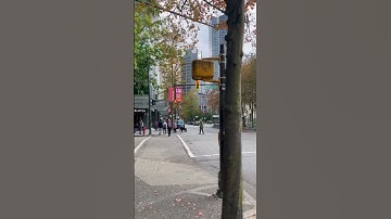 UBC Vancouver #trendingshorts #vancouver #ubc