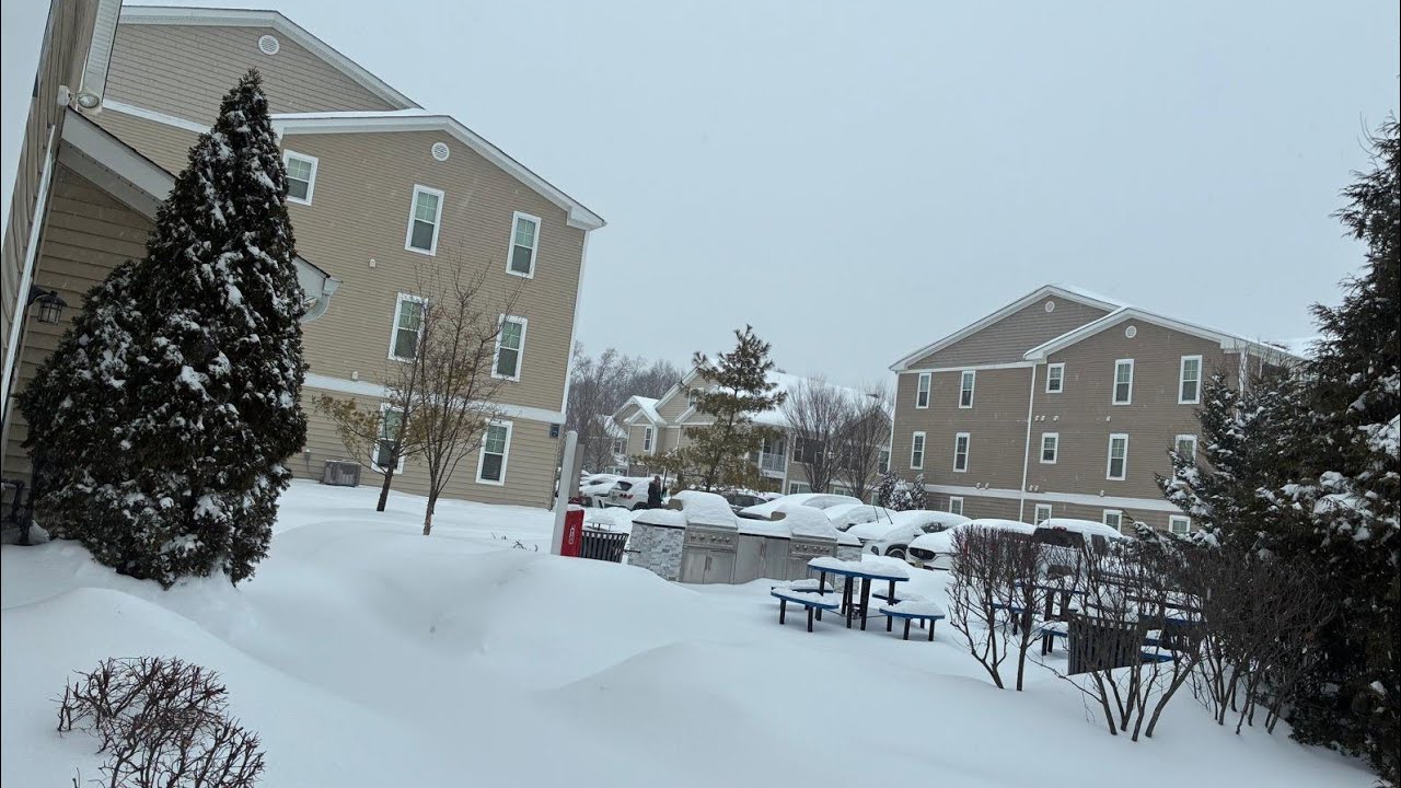 Snow day 2026 snow -22° temperature 30 in snow#heavysnowfall❄️  #snowstorm2026 ⛈️❄️☃️#USA #vlog 🇺🇲 