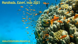 Hurghada, Egypt, may 2021
