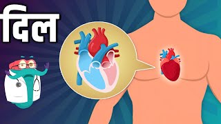 दिल कैसे काम करता हैं? | हृदय | How Does Human Heart Works? In Hindi | Dr.Binocs Show | Educational