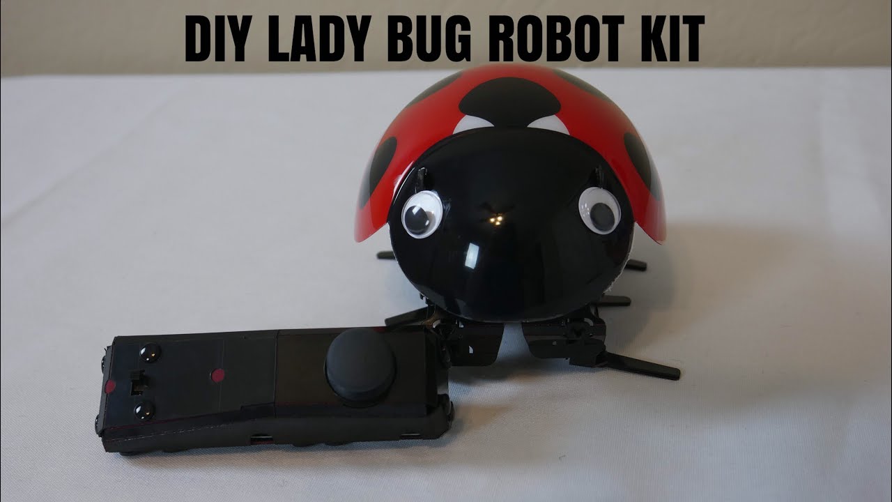Virhuck DIY Ladybug Robot Kit, 2.4GHz RC Robotic DIY Building Set YouTube