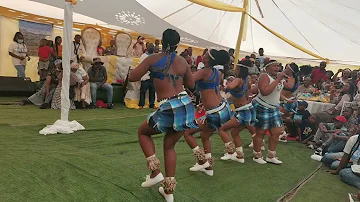 Palama thaba ngwanyana