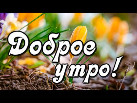 Доброе утро! Весна в пути, осталось немножко!