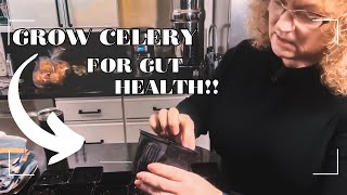 🌻 From Tiny Seed to Crunchy Stalk: Starting Celery Indoors
