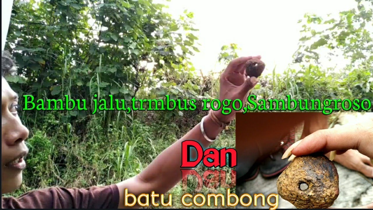 batu combong awalnya pencarian bambu  batu combongpun 