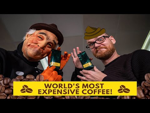 Video: Hvad Er Den Dyreste Kaffe I Verden?