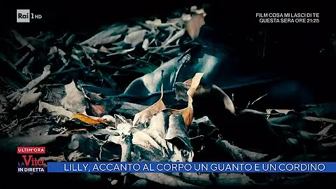 Dove si trova il guanto di crine?