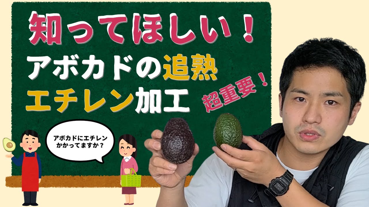 そのアボカド、エチレンかかっていますか？アボカド選びで失敗するのは決してあなたのせいではない！【追熟加工のプロ・まつこうが伝授】【アボカド好き必見！】