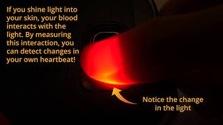 Visualize Your Heartbeat
