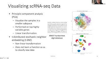 2020 STAT115 Lect8.3 scRNA-seq Clustering and Visualization