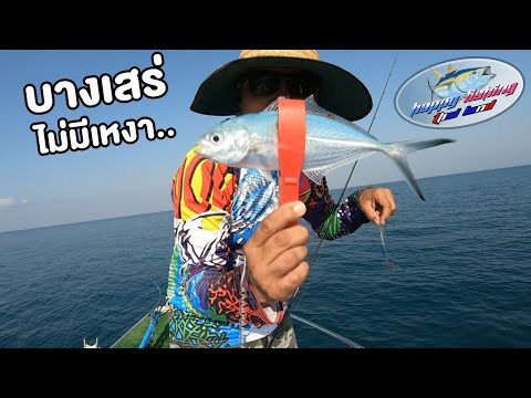 ตกปลา ตกหมึก ทริปบางเสร่ Happy Fishing