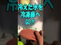 ロックアイス毎日買うと高い‼タダでなんちゃって透明氷を作ろう!コメント参考にやってみたら、、#shorts