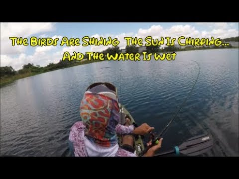 kayak flight Bass Fishing On A Sunny/Windy Day In Clear Water