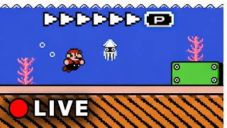 Super Mario Bros. 3 Any% Warpless Runs