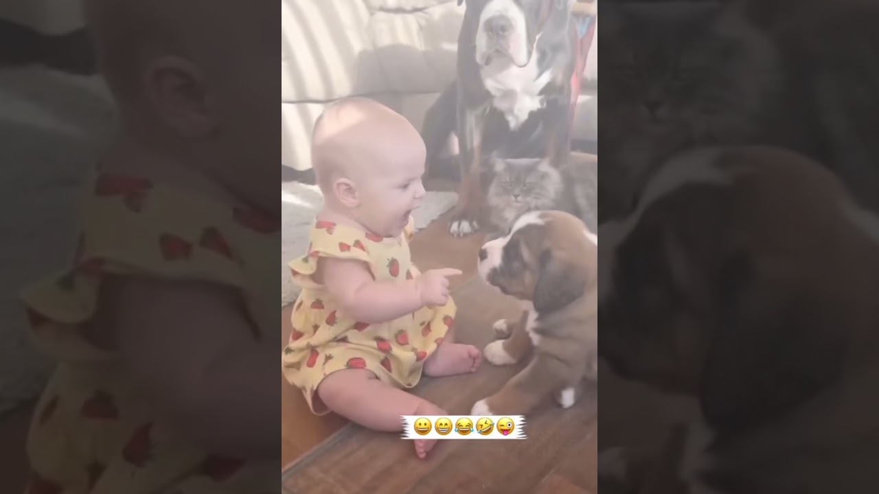 Shocking reaction of the dog when baby does.. #viral #fypシ゚viral