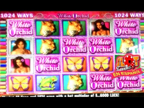 ¡¡ $123,256,123.52 MILLONES, PUES YA QUISIERA !! SIEMPRE EN DOMINGO | Slot Travelling