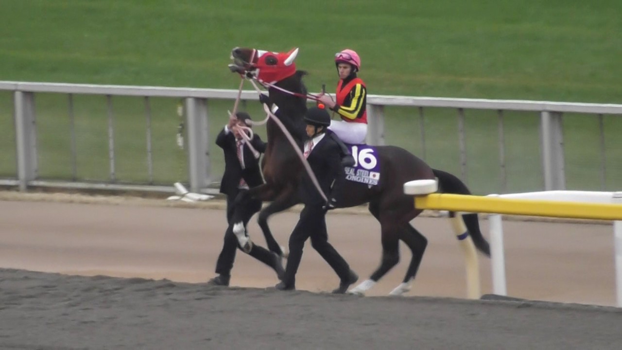 キタサンブラック　第36回ジャパンカップ　現地馬券、カードセット hq720.jpg?sqp=-