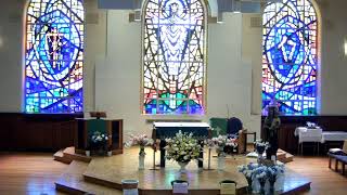 Sunday 10 am mass July 19, 2026